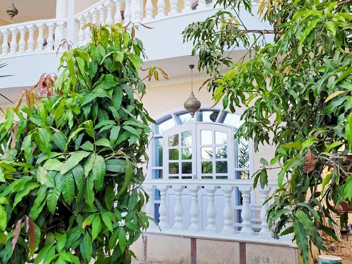 In Luxor Nile Apartments